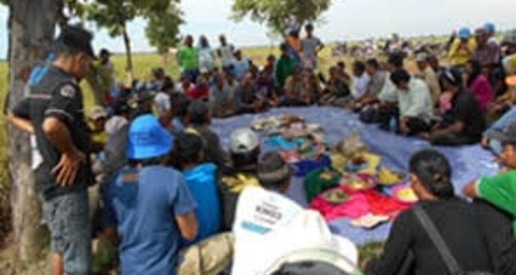 PT. Sang Hyang Seri KR 1 Sukamandi Peras Keringat Petani Penggarap (Bag 1) Selain Diduga Ditipu, Akibat Sewa Selangit, Petani hanya Kebagian 4,5 Juta/ Musim
