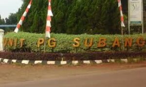 Warga Mengeluh! Truk PT. PG Rajawali Purwadadi Kotori Jalan