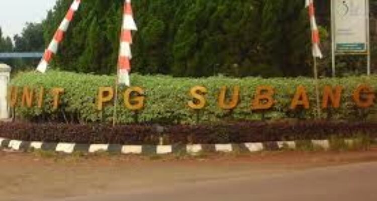 Warga Mengeluh! Truk PT. PG Rajawali Purwadadi Kotori Jalan