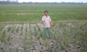 Ratusan Hektar Sawah Kekeringan, Kades Rancajaya Harapkan Perbaikan Sekunder