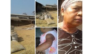 Diduga Pabrik Gilingan Padi SB Ilegal Cemari Lingkungan