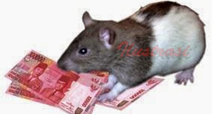 Korupsi Subang Anggaran Muaytai dan Mamin