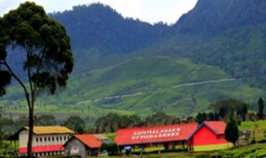 SDN-Malabar-4-Laksanakan-Rehab-Ruang-Kelas-Dan-Pemagaran-Tahun-2016-2017
