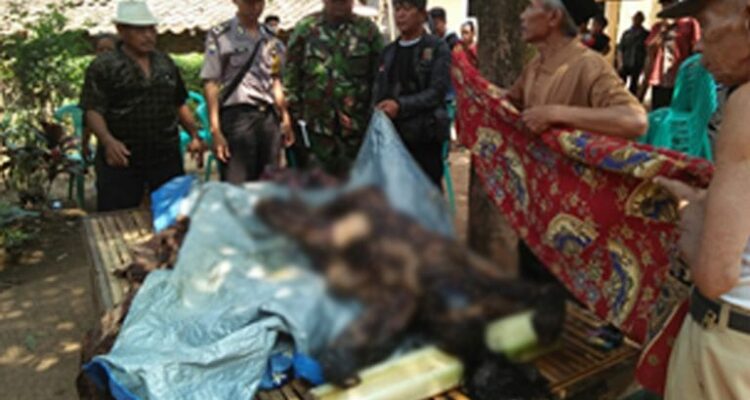Lalai Tuangkan Bensin ke Botol, Seorang Ibu Tewas Terbakar