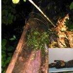 Warga Buniara Tanjungsiang