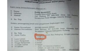 Ternak Ayam di Sindangsari Subang