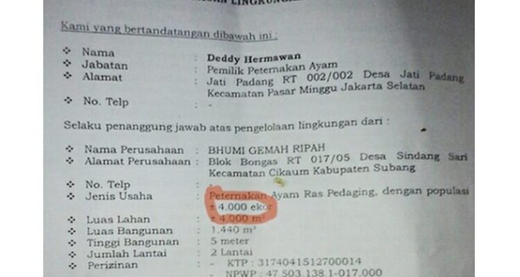 Ternak Ayam di Sindangsari Subang