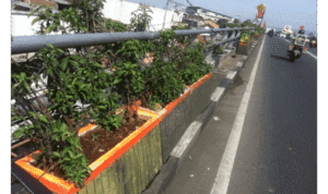 Diduga, DPKP Cimahi Simpangkan Biaya Perawatan Pot Bunga