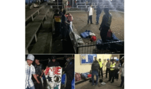 Jelang Natal dan Tahun Baru, Polda Bali Gelar Ops Cipkon Grebek Judi Sabung Ayam