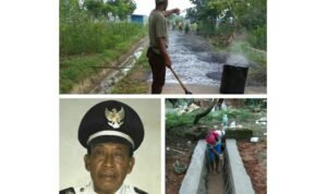 Program DD 2017, Kades Jadimulyo Prioritaskan Infrastruktur Fisik