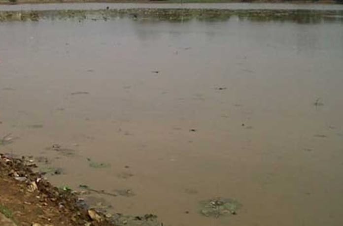 Diduga Oknum Kasek SD Kamarung Serobot Situ Cibial Jabong