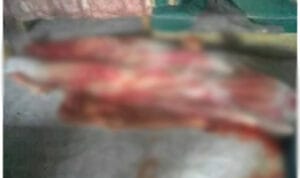Polisi Belum Bisa Ungkap Misteri Dugaan Pembunuhan Ruwinah
