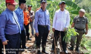 Penanaman Pohon