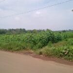 KT Purwadadi Tolak Izin Perumahan PT Top Sukses Properti