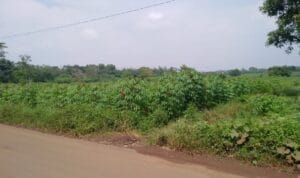 KT Purwadadi Tolak Izin Perumahan PT Top Sukses Properti