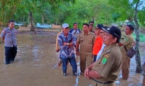 IMG-20190409-WA0155.jpg