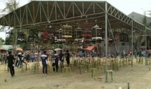 Kontes Kicau Mania Hadiah Kades Sukamandijaya Peringati Hari Sumpah Pemuda-TNI