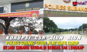 IMG-20210903-WA0049.jpg