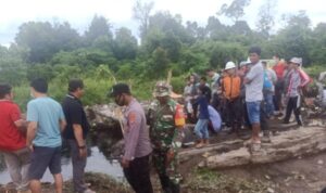 Petani di Kaltara Lenyap Diterkam Buaya Sepanjang 4 M
