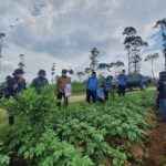 Menjelang Ramadhan dan Idul Fitri, Pemkab Garut Jamin Komoditas Hortikultura di Daerahnya Terpenuhi