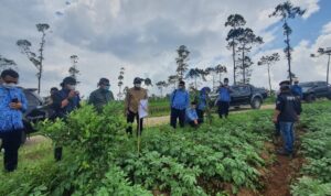 Menjelang Ramadhan dan Idul Fitri, Pemkab Garut Jamin Komoditas Hortikultura di Daerahnya Terpenuhi
