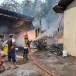 Kebakaran Hebat Melanda Pabrik Arang, Butuh Waktu 4 Jam Melawan Si Jago Merah1