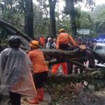 Hujan Deras Dan Angin Kencang Porak Porandakan Kota Subang