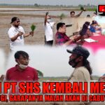 Petani Penggarap PT SHS Menjerit Lagi, (Part 1) Petani Merasa Ditipu Akibat Tanam Hibrida