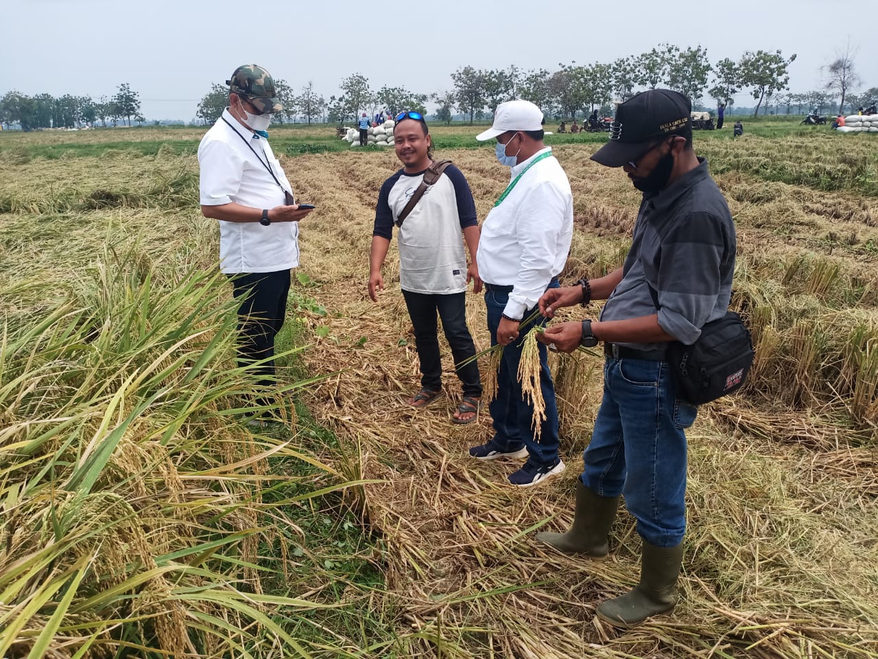 Petani Penggarap PT SHS Menjerit Lagi, (Part 3) Alasan Tak Produktif, Dirut PT SHS Cabut Ribuan Hektar Lahan Garapan Petani