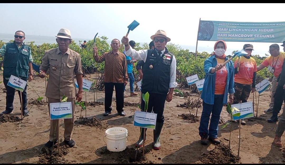 Ridwan Kamil Peringati Hari Lingkungan Hidup se-Dunia di Pantai Pondok Bali1