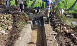 Kades Sindangsari Bangun Irigasi Tingkatkan Ketahanan Pangan