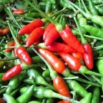 Cabe Rawit Banyak Khasiat Hindari Kanker Serta Jantung Cabe Rawit Banyak Khasiat Hindari Kanker Serta Jantung