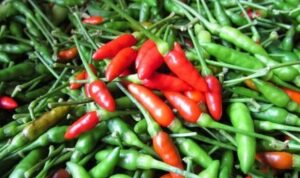 Cabe Rawit Banyak Khasiat Hindari Kanker Serta Jantung