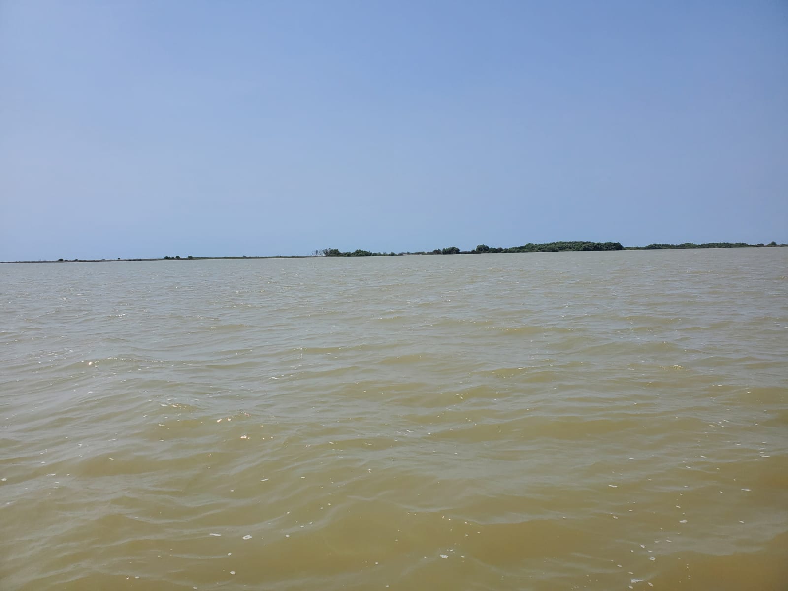 Ada Apa dengan ATR/BPN Subang, Benarkah Laut dapat Disertipikatkan???1