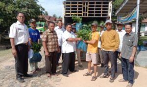 Dana Desa Sri Gading Kec Labuhan Maringgai Lamtim, Sudah di Rasakan Oleh Masyarakat Dana Desa Sri Gading Kec Labuhan Maringgai Lamtim, Sudah di Rasakan Oleh Masyarakat