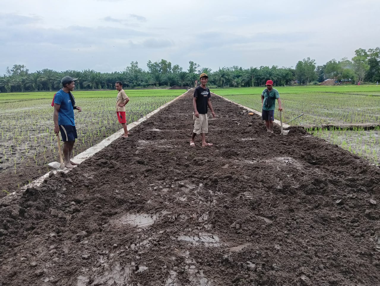 Dana Desa Sri Gading Kec Labuhan Maringgai Lamtim, Sudah di Rasakan Oleh Masyarakat1