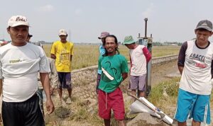 Kerap Alami Kekeringan, Petani Rutin Perbaiki Saluran Irigasi Dana Swadaya Masyarakat