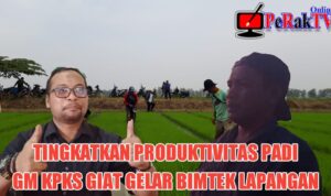 Program Terobosan PT SHS Sukamandi Tingkatkan Produktivitas Padi