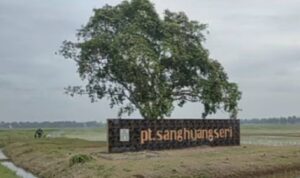 PT SHS Programkan Pembayaran Satu Hari Pasca Panen Petani