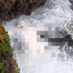 Emud Pencari Rumput Laut Ditemukan Sudah Tak Bernyawa