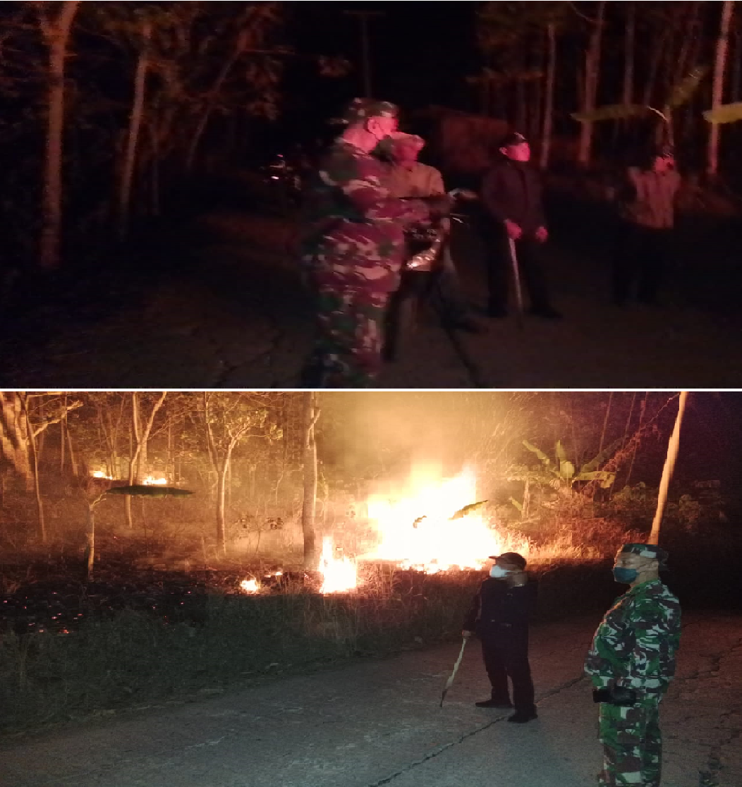 Kebakaran Melanda Gunung Papandayan Garut 1