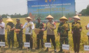 Dandim 0605/Subang Sukses Gelar Panen Raya di Desa Binong