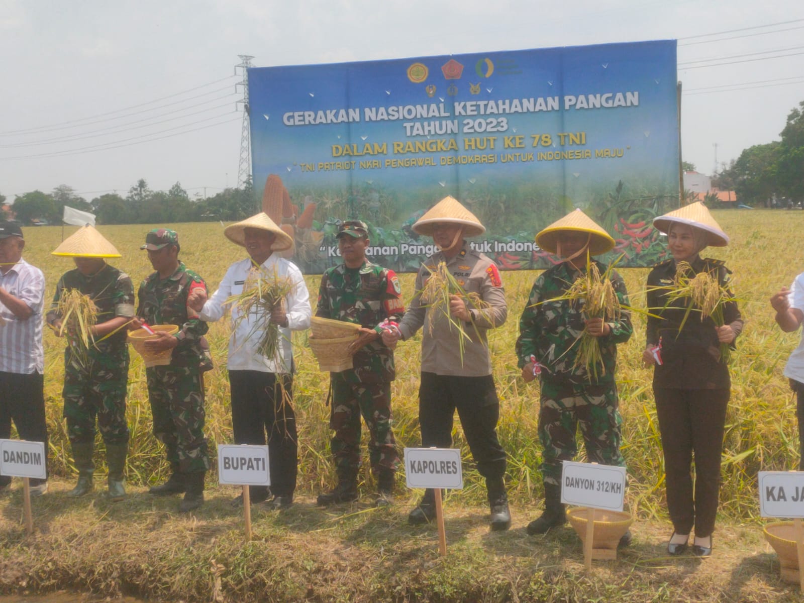 Dandim 0605/Subang Sukses Gelar Panen Raya di Desa Binong