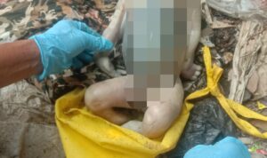 Geger! Penemuan Mayat Bayi Membusuk di Sungai Ciasem Dangdeur