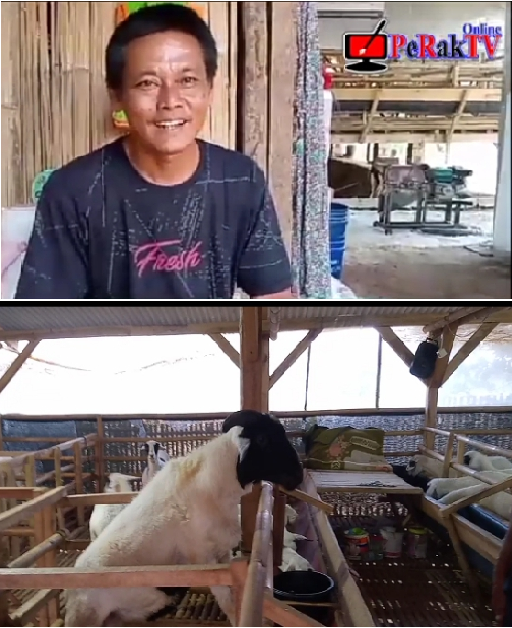 H Ratim Peternak Modern Solusi Sukses Bisnis Ternak Domba1