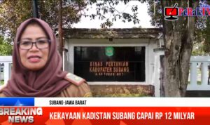 Usai Viral Kekayaan Capai Rp 12 M Kadistan Subang Menghilang