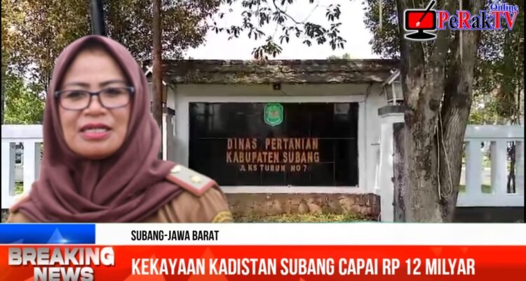 Usai Viral Kekayaan Capai Rp 12 M Kadistan Subang Menghilang