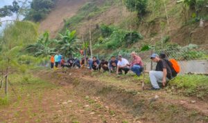 Antisipasi Bencana Longsor, MAGMA Gelar Giat Sosial Penanaman Pohon