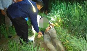Pamit pergi memancing dan mencari pakan ternak, seorang kakek ditemukan meninggal dunia di pesawahan Desa Cempaka Nuban Pamit pergi memancing dan mencari pakan ternak, seorang kakek ditemukan meninggal dunia di pesawahan Desa Cempaka Nuban