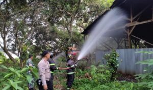 Kebakaran Pabrik Kerupuk Di Blok Nusa Indah Cicadas Kebakaran Pabrik Kerupuk Di Blok Nusa Indah Cicadas